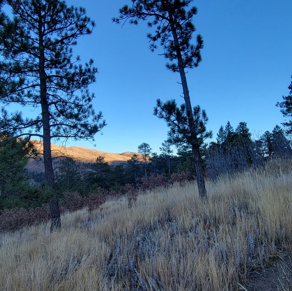 Meet your Posher, SecondChanceClo! - Picture 1 of 6